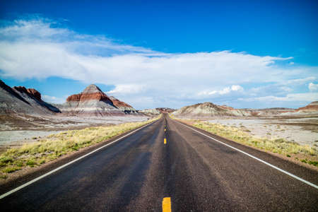 A long way down the road of Petrified Forest National Park, Arizona