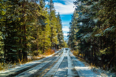 A long way down the road of Yosemite National Park, Californiaの写真素材