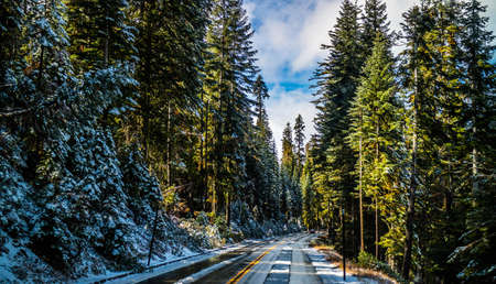 A long way down the road of Yosemite National Park, Californiaの写真素材