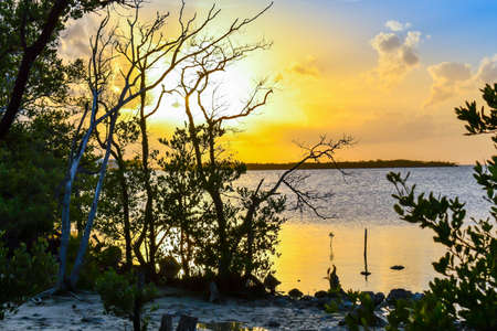 Beautiful sunset over the sea with clear sky in Key Largo, Floridaの写真素材