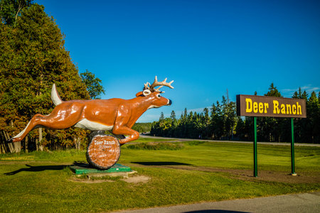 Mackinac Island St. Ignace, MI, USA - June 21, 2018: A welcoming signboard at the entry point of the Deerland parkのeditorial素材