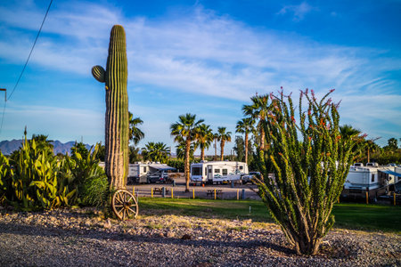 Yuma, AZ, USA - April 7, 2017: Enjoying the captivated view from our RVのeditorial素材