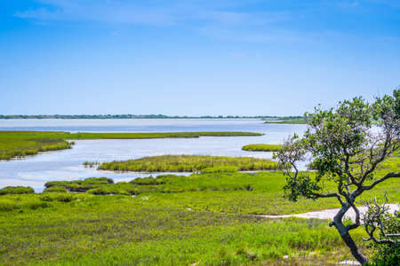 A beautiful natural scenic view of nature in National Wildlife Refugeeの写真素材