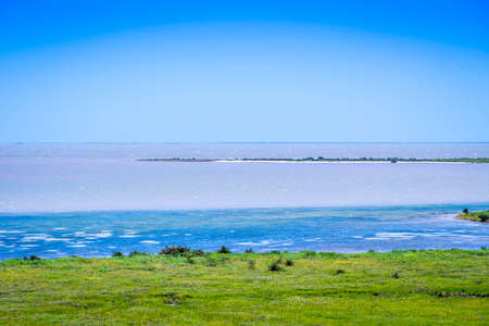 The huge wetlands of Aransas NWR, Texasの写真素材