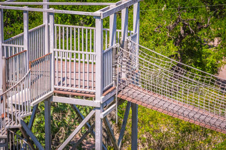 A long canopy walk in Santa Ana NWR, Texasの写真素材