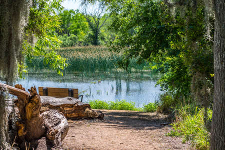 The Willow Lake in Santa Ana NWR, Texasの写真素材