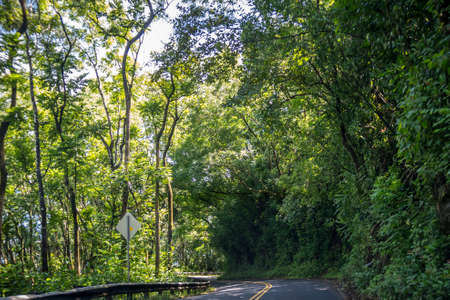 A long way down the road of in Maui, Hawaiiの写真素材