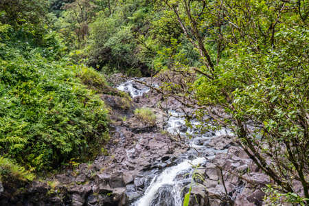 A narrow stream of water in Maui, Hawaiiの写真素材