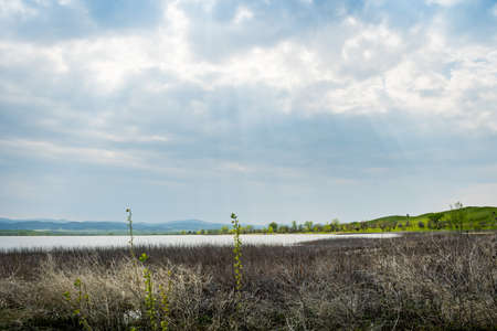 A large refreshing flow of water with a peaceful view of the lake in the preserve park