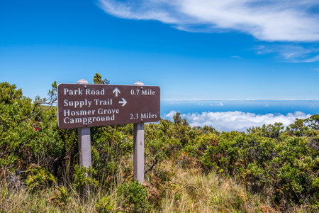 Maui, HI, USA - August 24, 2019: The different kinds of trials going to its scenic destinationのeditorial素材