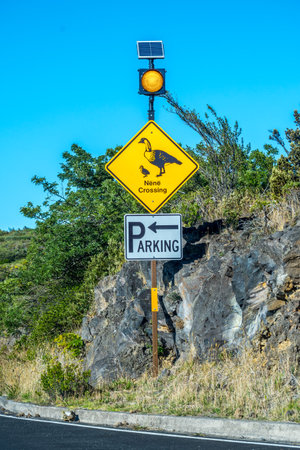 Maui, HI, USA - August 24, 2019: A bird species crossing signboardのeditorial素材