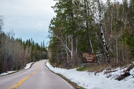 Black Hills National Forest, SD, USA - May 24, 2019: A leaving signboard at the exit point of national forestのeditorial素材