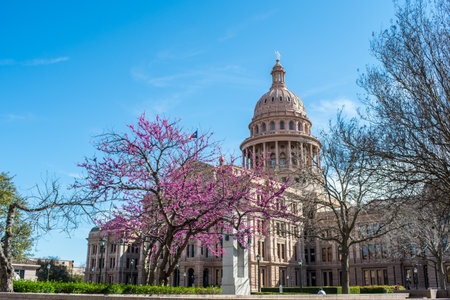 Austin, TX, USA - March 9, 2019: The huge outside preserve grounds of Texas State Capitolのeditorial素材