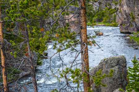 The refreshing flow of natural water resource from a brookの写真素材