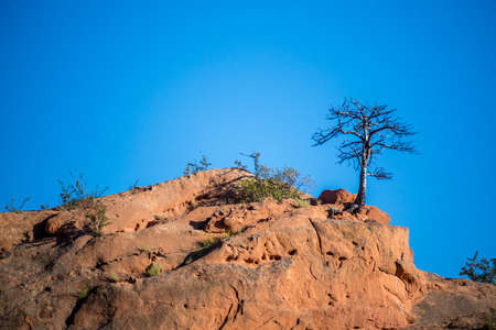 Rocky landscape scenery of Colorado Springs, Coloradoの写真素材