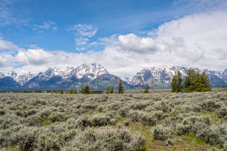 A long way down the road going to Grand Tetons NP, Wyomingの写真素材