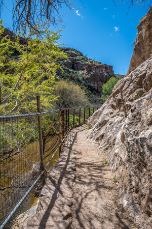 An overlooking view of nature in Boyce Thompson Arboretum SP, Arizonaの写真素材