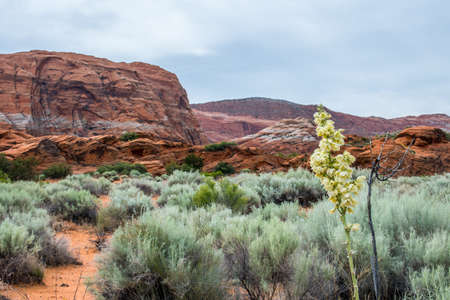 Epic mountain landscape scenery from the walking trail of the preserve parkの写真素材
