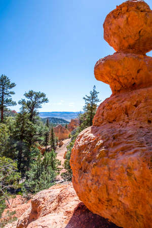 Epic forest landscape scenery from the walking trail of Red Canyonの写真素材