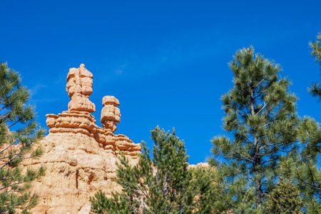 Epic forest landscape scenery from the walking trail of Red Canyonの写真素材