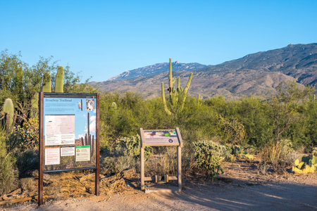 Saguaro NP, AZ, USA - November 16, 2019: The Broadway Mountain Trailheadのeditorial素材