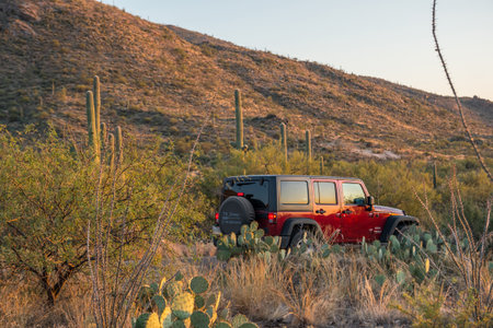 Saguaro NP, AZ, USA - November 16, 2019: A Jeep Wrangler Unlimited Sports parked along the preserve parkのeditorial素材
