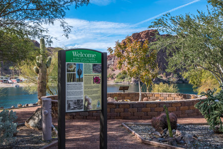 Buckskin Mountain SP, AZ, USA - December 29, 2019: Cactus Garden & Desert Tortoise Habitatのeditorial素材