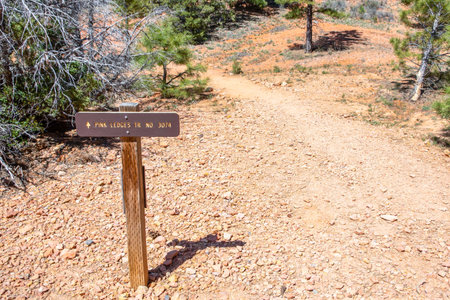Dixie National Forest, UT, USA - May 24, 2020: The Pink Ledges Mountain Trailのeditorial素材