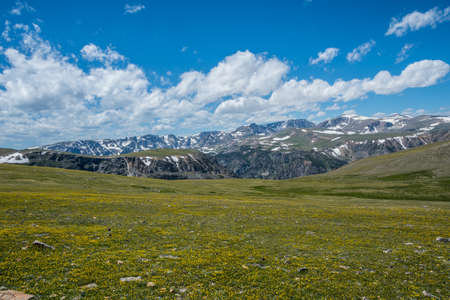 An overlooking view of nature in Custer National Forest, Montanaの写真素材
