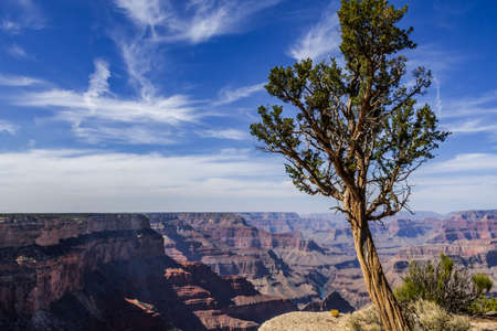 A gorgeous view of the landscape in Grand Canyon National Park, Arizonaの写真素材