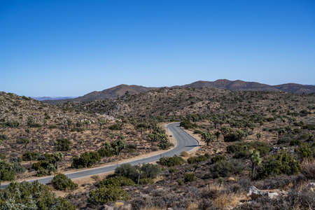 An overlooking view of nature in Joshua Tree National Park, California