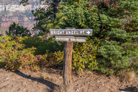 Glen Canyon NR, AZ, USA - Oct 2, 2020: The Bright Angel Pointのeditorial素材