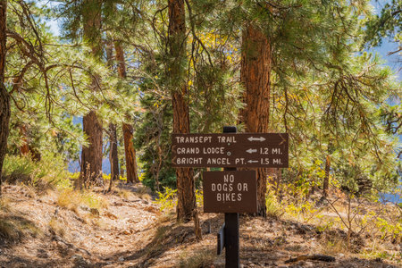 Glen Canyon NR, AZ, USA - Oct 2, 2020: The different kinds of trials going to its scenic destinationのeditorial素材