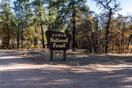 Grand Canyon NP, AZ, USA - Oct 10, 2020: A welcoming signboard at the entry point of the preserve forestのeditorial素材