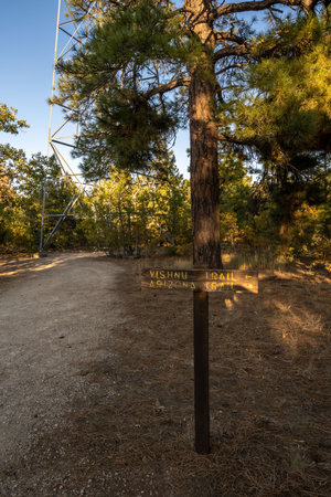 Grand Canyon NP, AZ, USA - Oct 6, 2020: The different kinds of trials going to its scenic destinationのeditorial素材