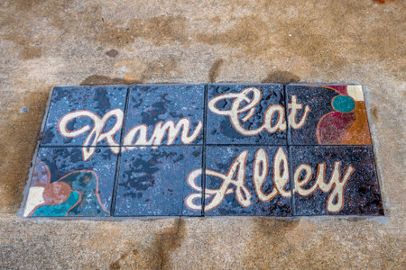 Seneca, SC, USA - Dec 31, 2020: The Ram Cat Alleyのeditorial素材