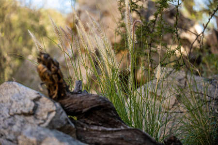 Epic mountain landscape scenery from the walking trail of Oro Valley areaの写真素材