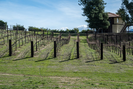 Temecula, CA, USA - Feb 14, 2021: The Wilson Creek Winery and Vineyardsのeditorial素材
