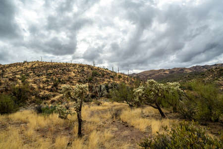An overlooking view of Tonto National Forest, Arizona