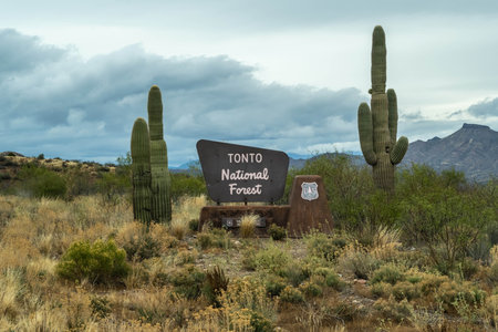 Tonto NF, AZ, USA - Dec 25, 2021: A welcoming signboard at the entry point of parkのeditorial素材