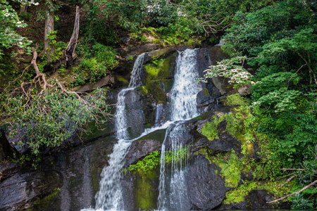 A large refreshing flow of water with a peaceful view of the park