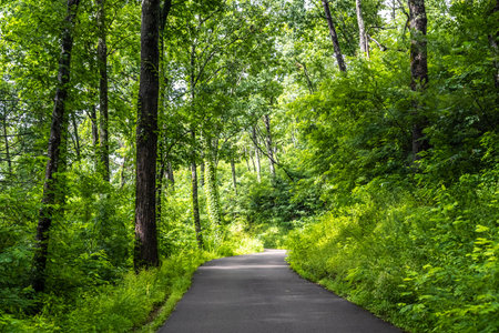 Road trip and traversing along the beautiful protected area of the park