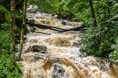 A large refreshing flow of water with a peaceful view of the falls