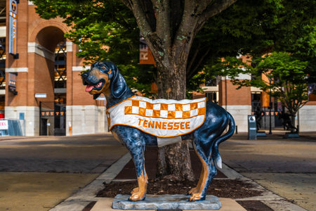 Knoxville, TN, USA - July 9, 2022: The University of Tennessee groundsのeditorial素材