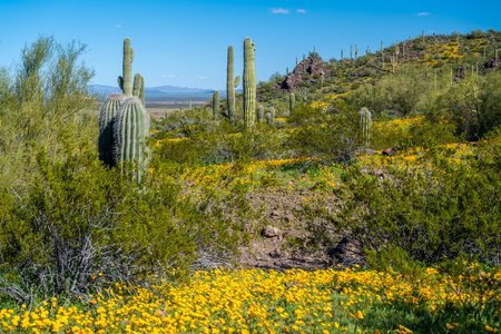 Epic landscape scenery from the walking trail of the state parkの写真素材