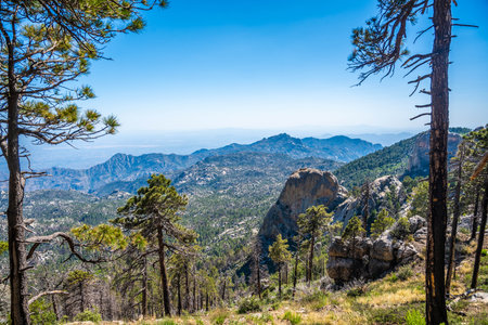 Epic landscape scenery from the walking trail of the Mt Lemmonの写真素材