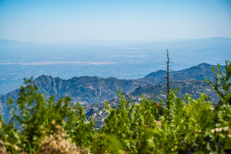 Epic landscape scenery from the walking trail of the Mt Lemmonの写真素材