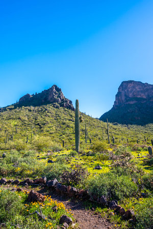 Epic landscape scenery from the walking trail of the state parkの写真素材
