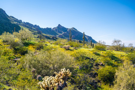 Epic landscape scenery from the walking trail of the state parkの写真素材