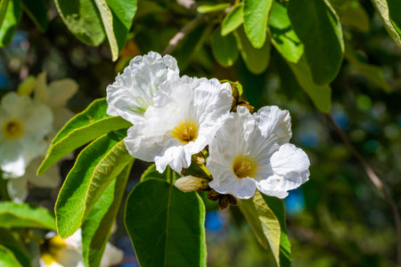 A blossoming plant highlights the view of nature in the preserve park